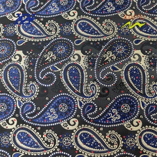 CLASSICAL PAISLEY DESIGN